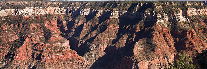 Late Afternoon Panorama No. 2, North Rim, Grand Canyon, AZ